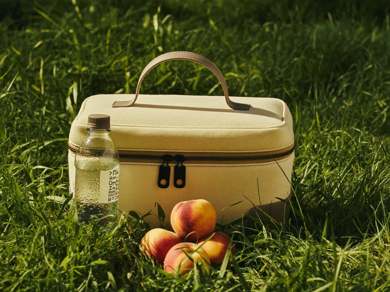Canvas-Kühltasche neben frischen Pfirsichen und Wasserflasche auf einer Uferböschung